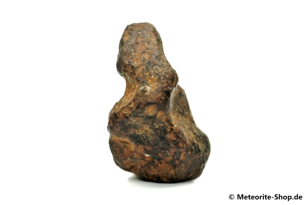 NWA 859 Meteorit - 13,10 g