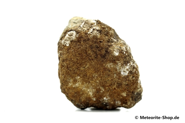 Al Haggounia 001 Meteorit - 15,20 g