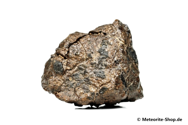 NWA Westsahara Meteorit - 119,20 g