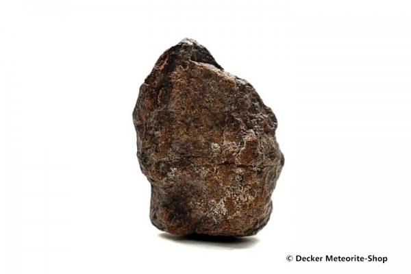 NWA 4528 Meteorit - 17,80 g