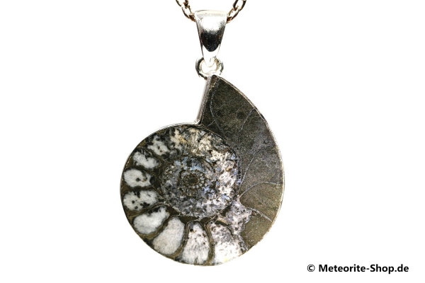 Ammonit-Anhänger (Fossil | Scheibe | 925er Silber) - 11,80 g