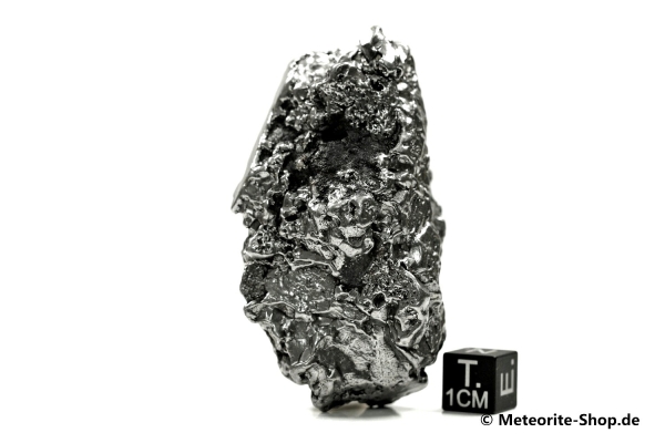 Campo del Cielo Meteorit - 224,80 g
