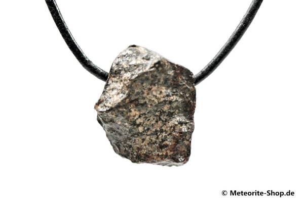 Stein-Meteorit-Anhänger (NWA 869 | Natura) - 10,90 g