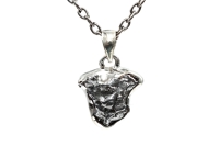 Eisen-Meteorit-Anhänger (Campo del Cielo | Gefasst | 925er Silber) - 5,00 g Eisen-Meteorit-Anhänger (Campo del Cielo | Gefasst | 925er Silber) - 5,00 g