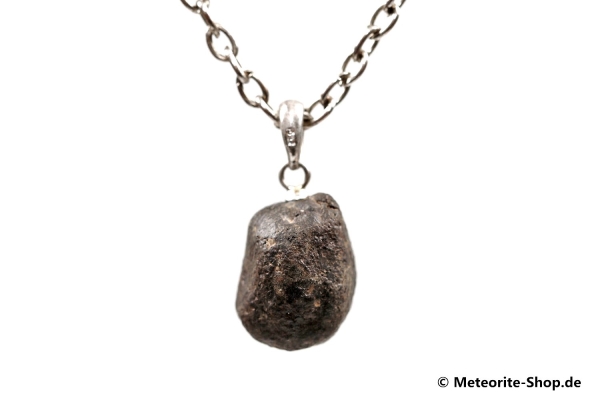 Stein-Meteorit-Anhänger (NWA 869 | Natura | 925er Silber) - 2,70 g