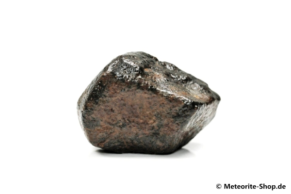 NWA Erfoud Meteorit - 31,90 g