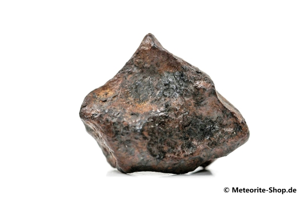 NWA 859 Meteorit - 10,70 g