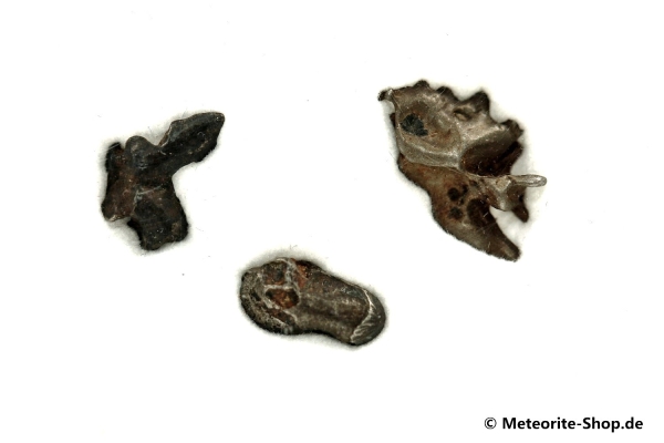 Sikhote-Alin Meteorit - 1,50 g