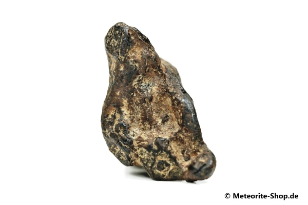 NWA 859 Meteorit - 15,20 g