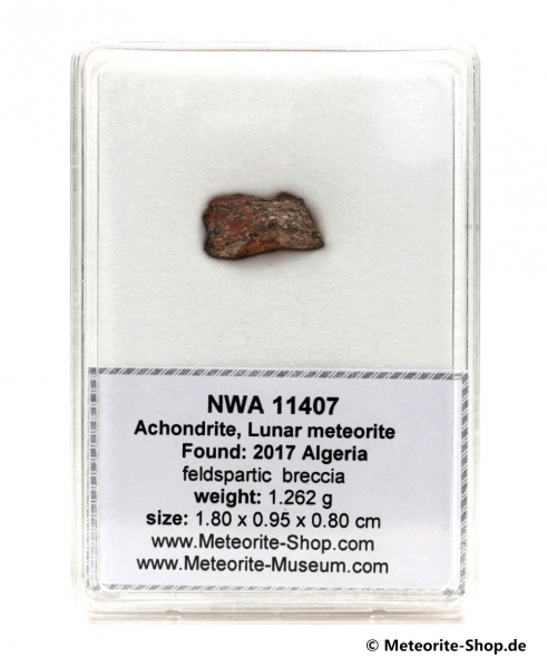 NWA 11407 Mond Meteorit - 1,262 g