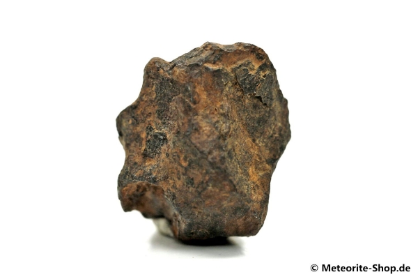 NWA 859 Meteorit - 18,50 g