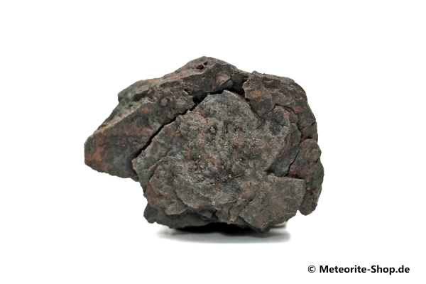 Vaca Muerta Meteorit - 19,80 g