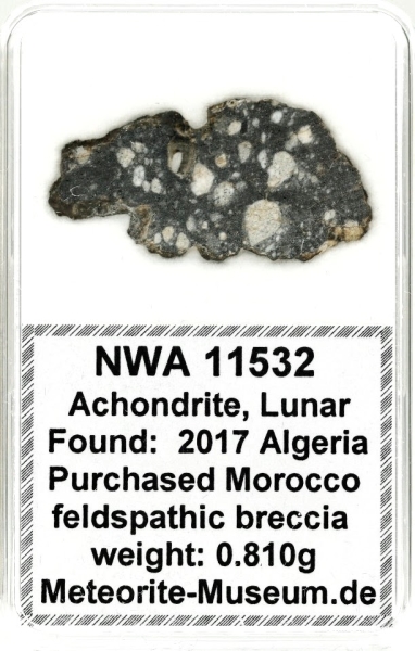 NWA 11532 Mond Meteorit - 0,810 g