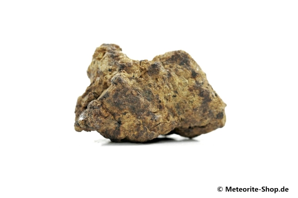 NWA 12953 Meteorit - 21,10 g