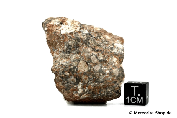 NWA 11407 Mond Meteorit - 32,85 g