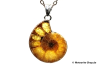 Ammonit-Anhänger (Fossil | Scheibe | 925er Silber) - 7,30 g Ammonit-Anhänger (Fossil | Scheibe | 925er Silber) - 7,30 g