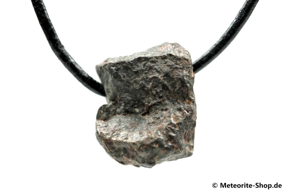 Stein-Meteorit-Anhänger (NWA 869 | Natura) - 8,20 g