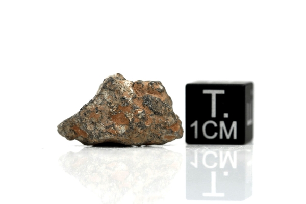 NWA 11407 Mond Meteorit - 2,300 g