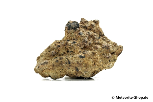 NWA 12953 Meteorit - 27,90 g
