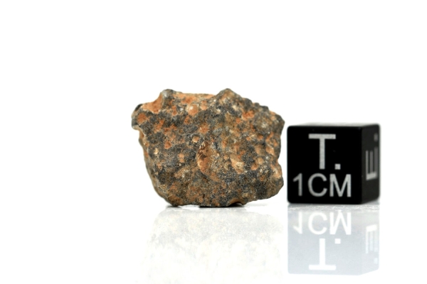 NWA 11407 Mond Meteorit - 3,530 g