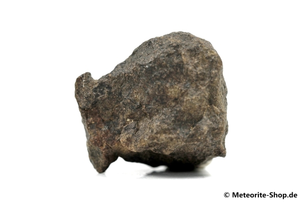 NWA Tagounite Meteorit - 21,90 g