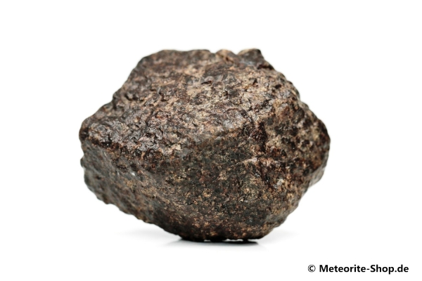 NWA 869 Meteorit - 72,80 g