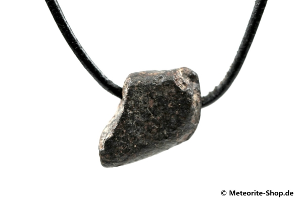 Stein-Meteorit-Anhänger (NWA 869 | Natura) - 7,60 g
