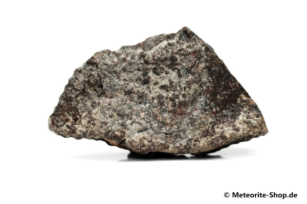 NWA 869 Meteorit - 74,10 g