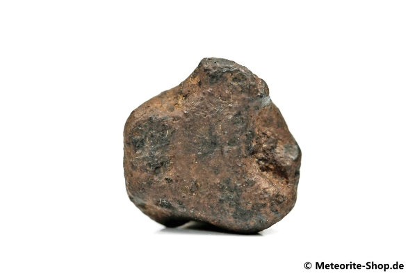 NWA 859 Meteorit - 10,80 g