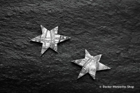 Muonionalusta Meteorit Stern Muonionalusta Meteorit Stern