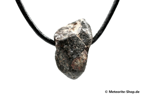 Stein-Meteorit-Anhänger (NWA 869 | Natura) - 8,70 g
