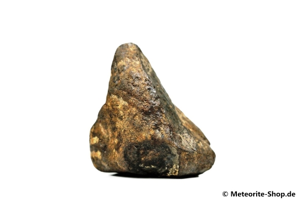 NWA Erfoud Meteorit - 24,40 g