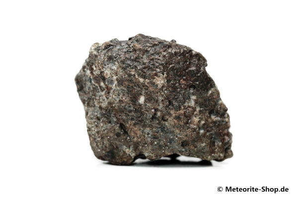 NWA 869 Meteorit - 78,40 g