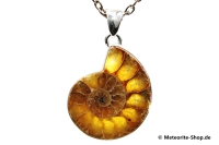 Ammonit-Anhänger (Fossil | Scheibe | 925er Silber) - 7,40 g Ammonit-Anhänger (Fossil | Scheibe | 925er Silber) - 7,40 g