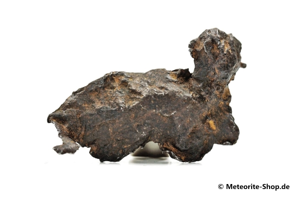 Sikhote-Alin Meteorit - 22,80 g