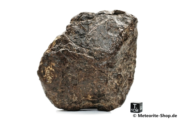 NWA Sahara Meteorit - 732,00 g