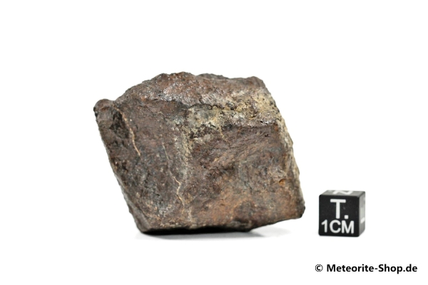 NWA Westsahara Meteorit - 100,60 g