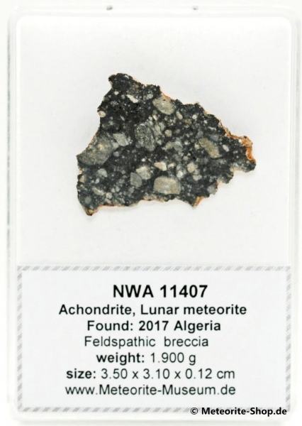 NWA 11407 Mond Meteorit - 1,900 g