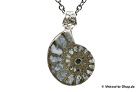 Ammonit-Anhänger (Fossil | Scheibe | 925er Silber) - 9,00 g Ammonit-Anhänger (Fossil | Scheibe | 925er Silber) - 9,00 g