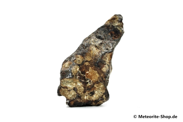 Agoudal Meteorit - 19,60 g