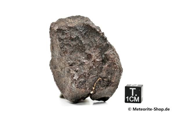 NWA Westsahara Meteorit - 96,80 g
