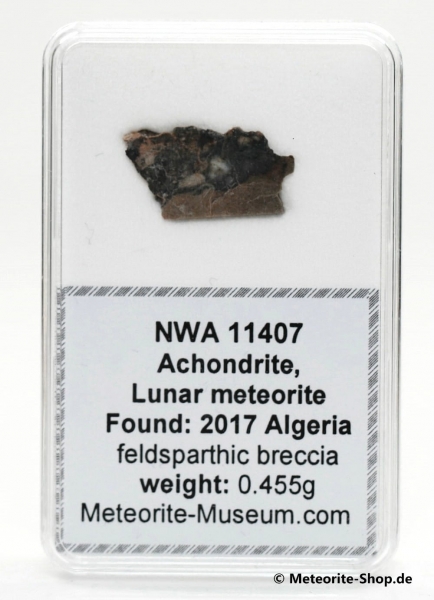 NWA 11407 Mond Meteorit - 0,455 g