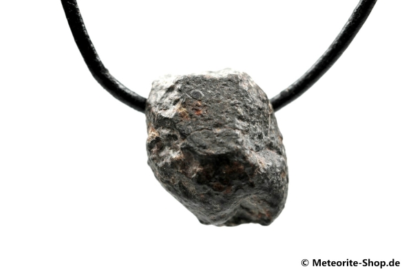 Stein-Meteorit-Anhänger (NWA 869 | Natura) - 10,20 g